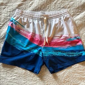 Chubbies Multicolor Swim Shorts w/ Liner